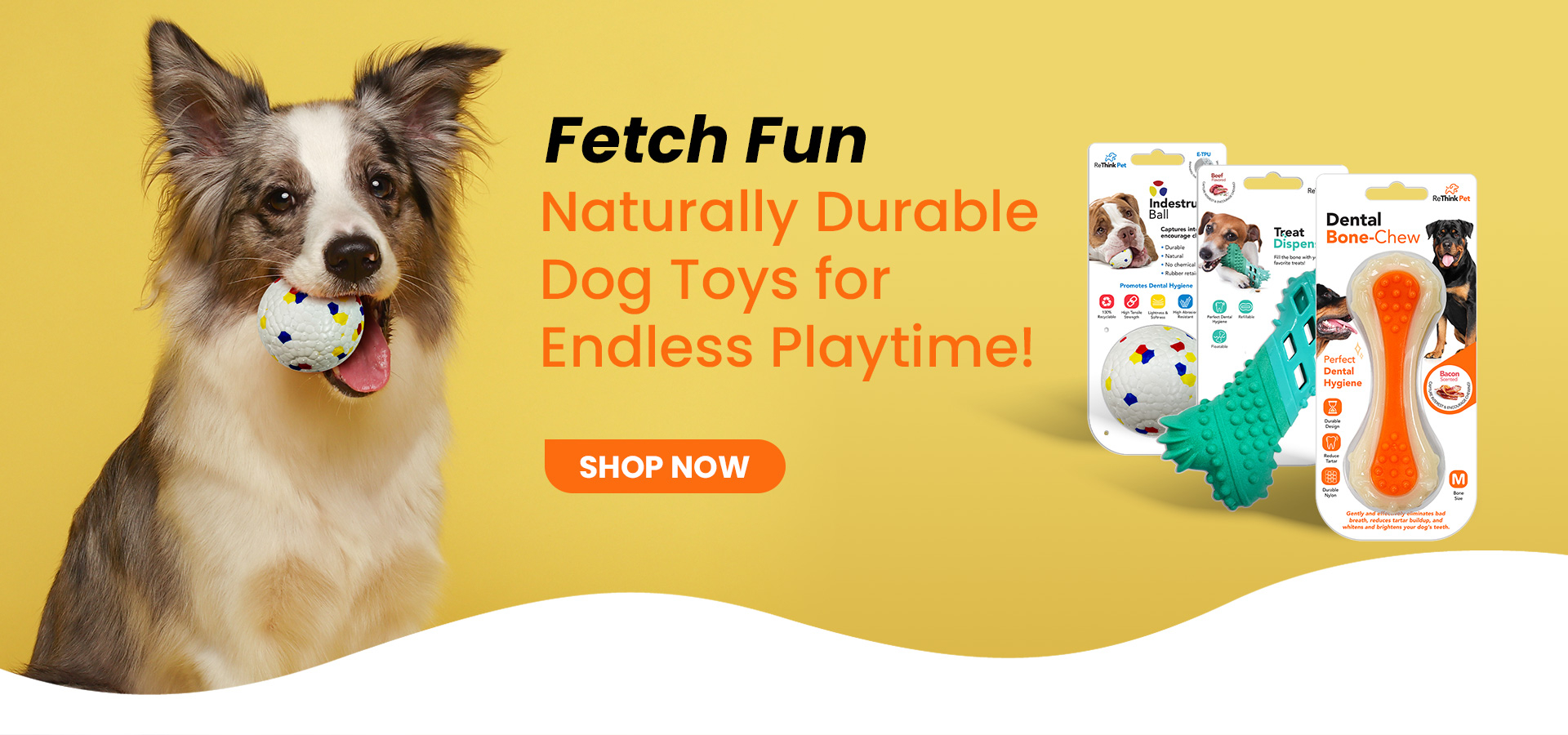 homepage-banner-1-img