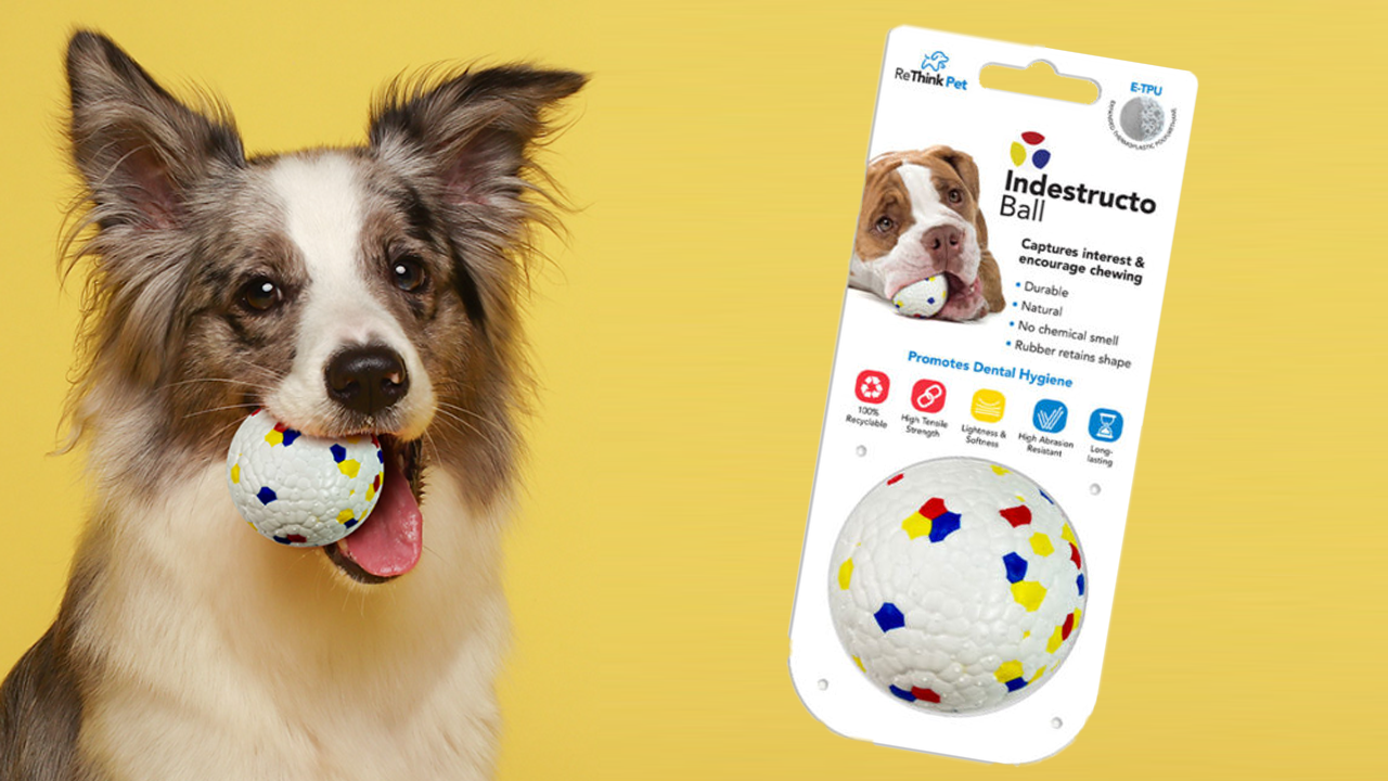 The Amazing Benefits of Organic Dog Toys