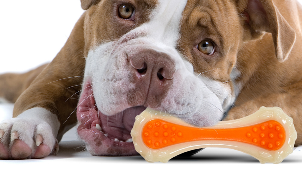 What are Some Good Toys for Pitbull Dogs?