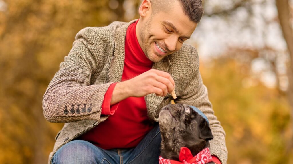 dog training treats