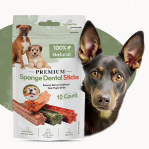 rethink-pet-premium-sponge-dental-sticks